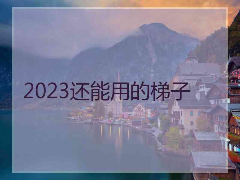 2023还能用的梯子