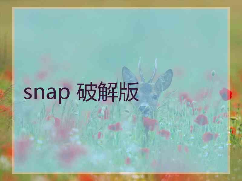 snap 破解版