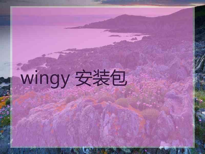 wingy 安装包