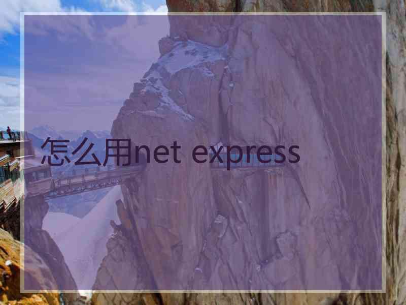 怎么用net express