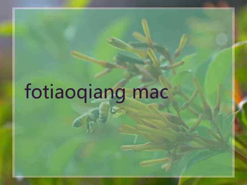 fotiaoqiang mac