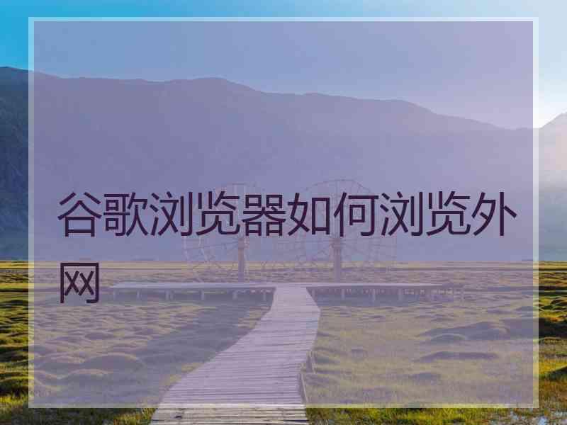 谷歌浏览器如何浏览外网