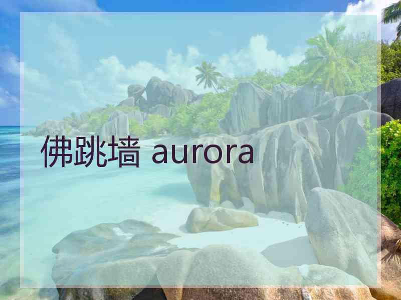 佛跳墙 aurora