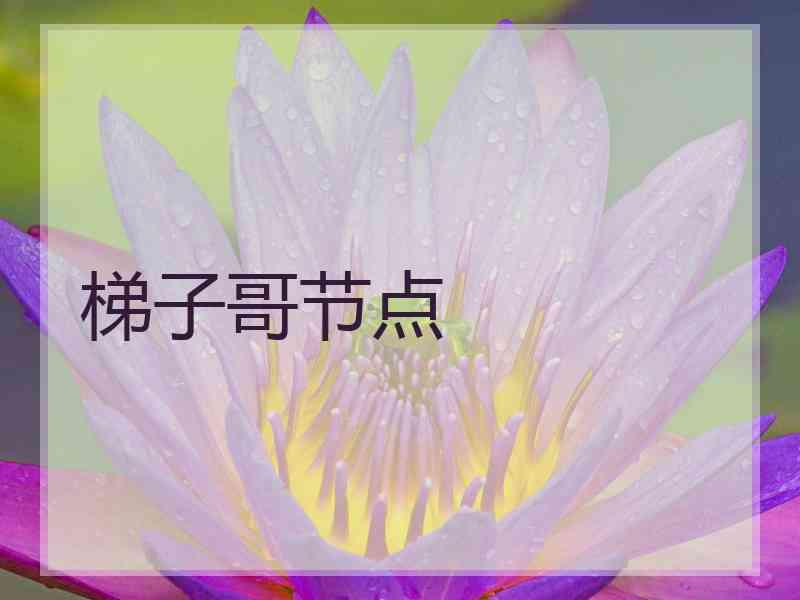 梯子哥节点