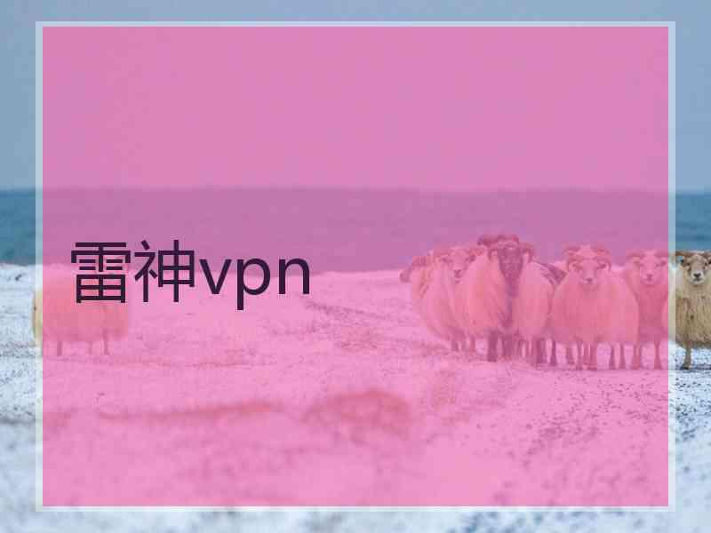 雷神vpn