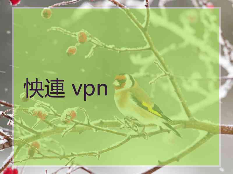 怏連 vpn