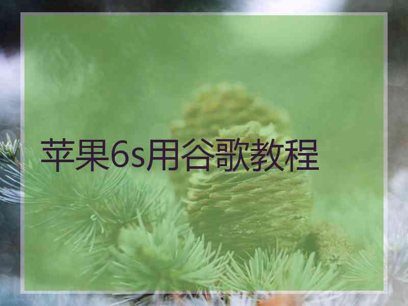 苹果6s用谷歌教程