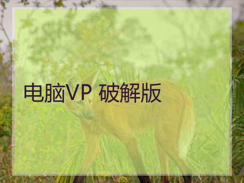 电脑VP 破解版