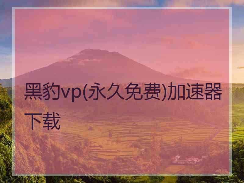 黑豹vp(永久免费)加速器下载