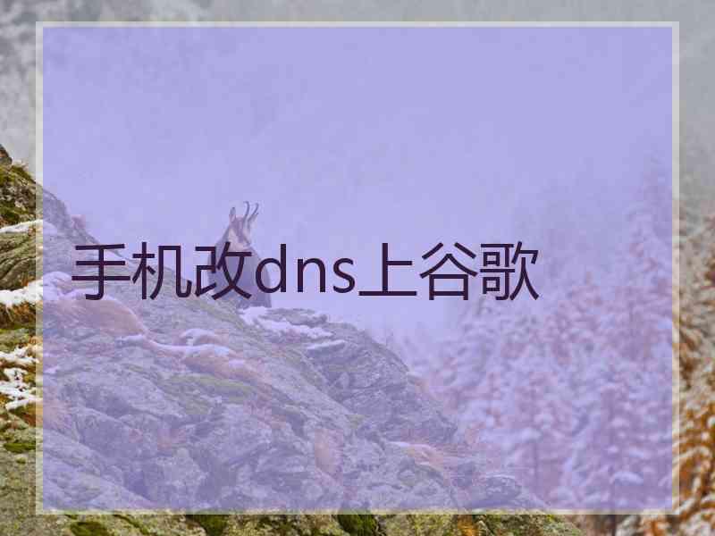 手机改dns上谷歌