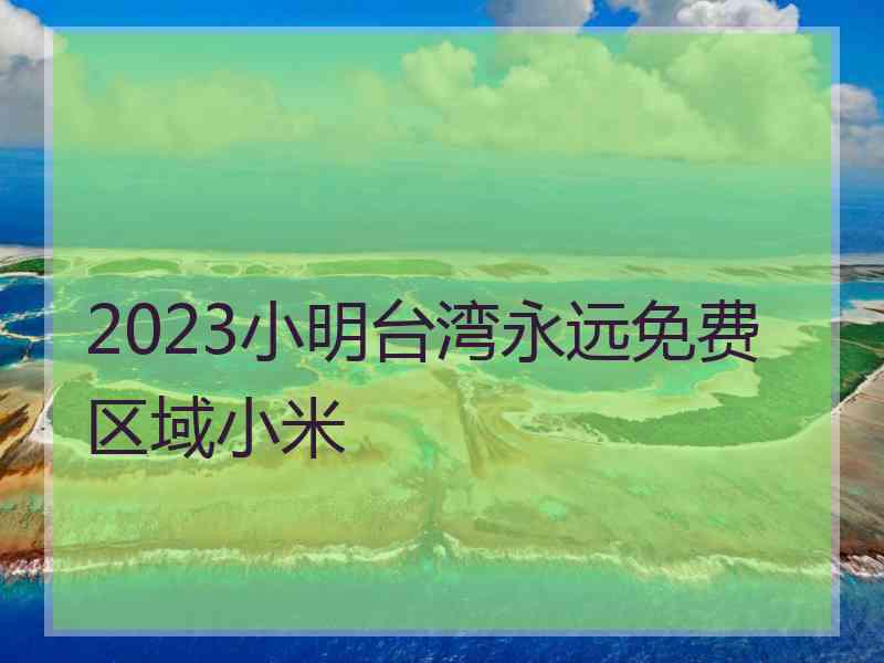 2023小明台湾永远免费区域小米