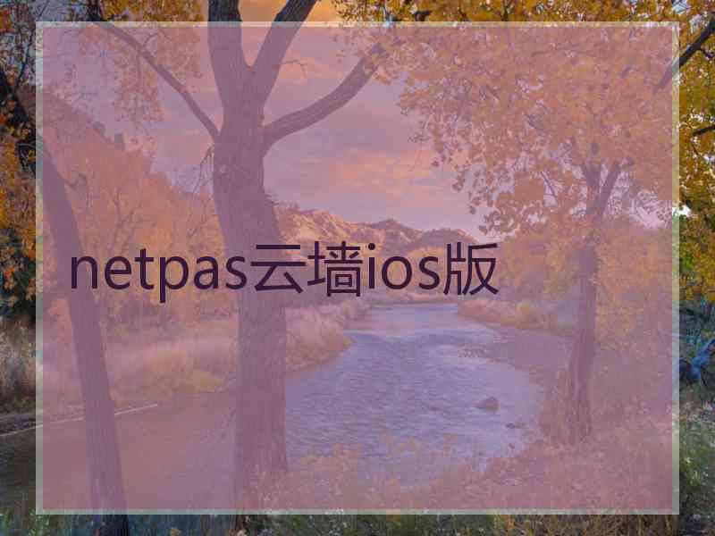 netpas云墙ios版