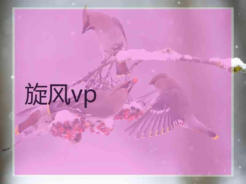 旋风vp