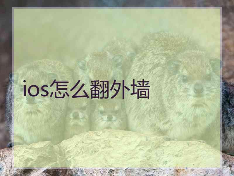 ios怎么翻外墙