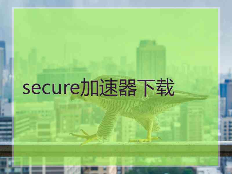 secure加速器下载