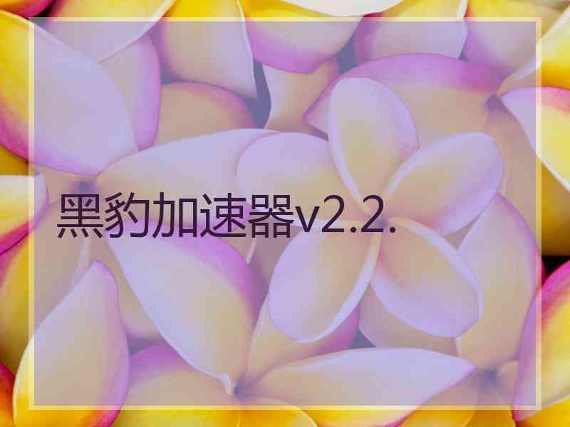 黑豹加速器v2.2.