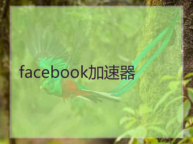 facebook加速器