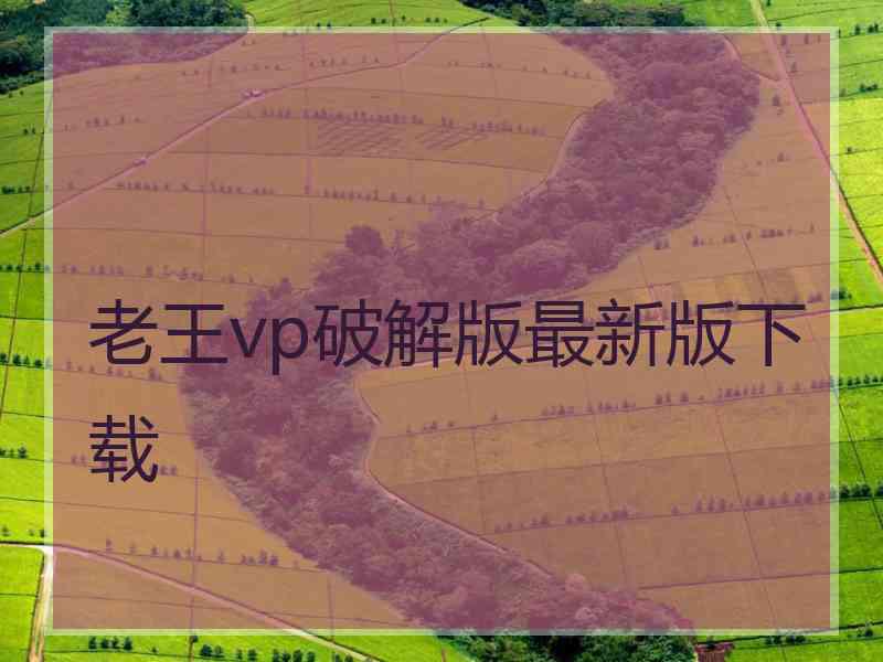 老王vp破解版最新版下载