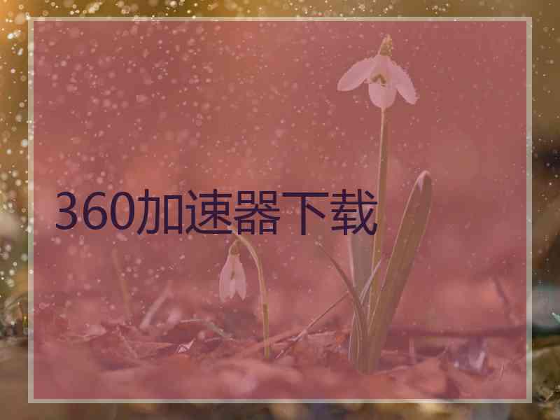 360加速器下载