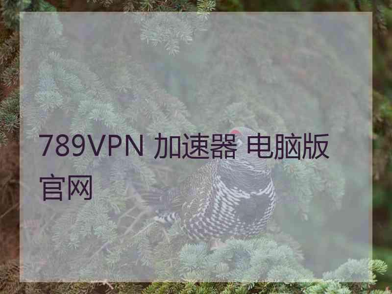 789VPN 加速器 电脑版 官网