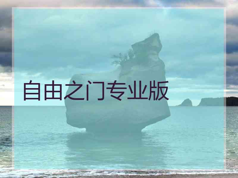 自由之门专业版