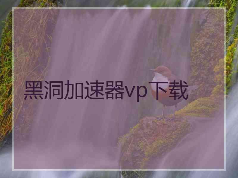 黑洞加速器vp下载