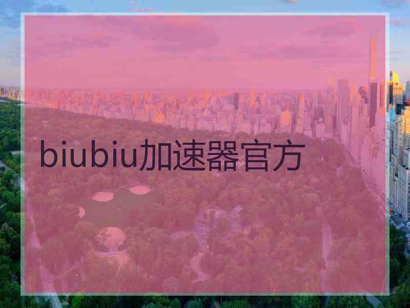 biubiu加速器官方