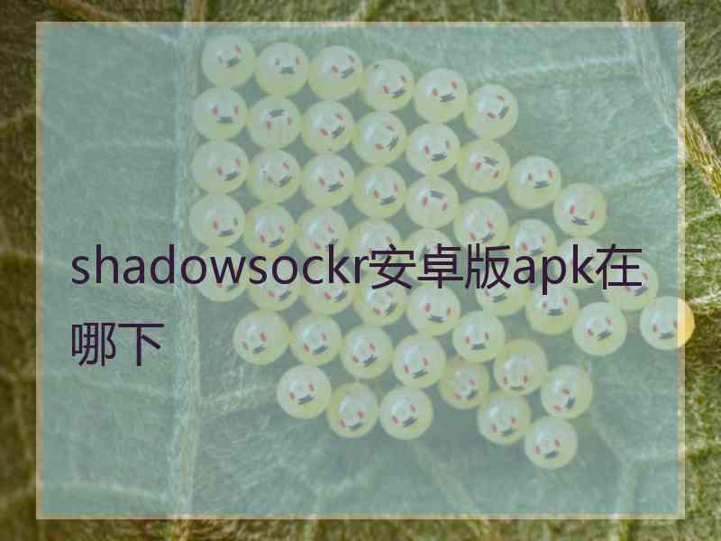 shadowsockr安卓版apk在哪下