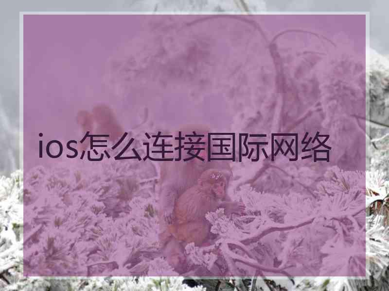 ios怎么连接国际网络