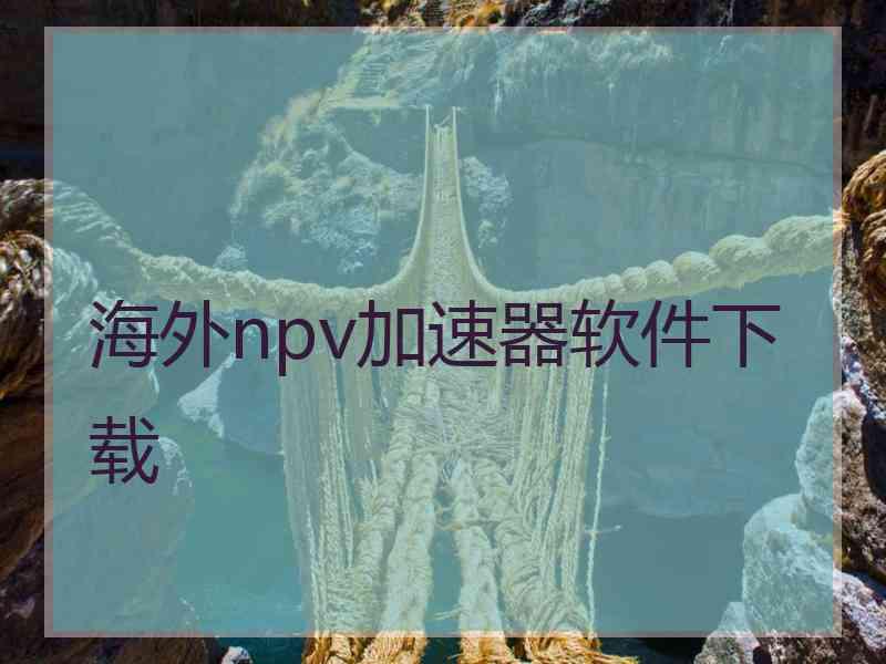 海外npv加速器软件下载