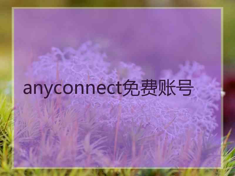 anyconnect免费账号