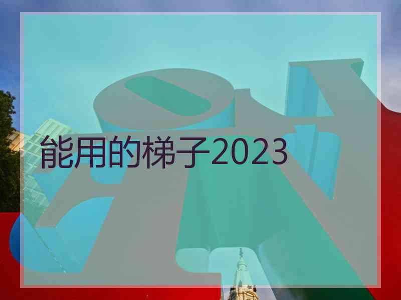 能用的梯子2023