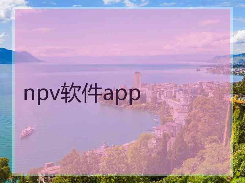 npv软件app