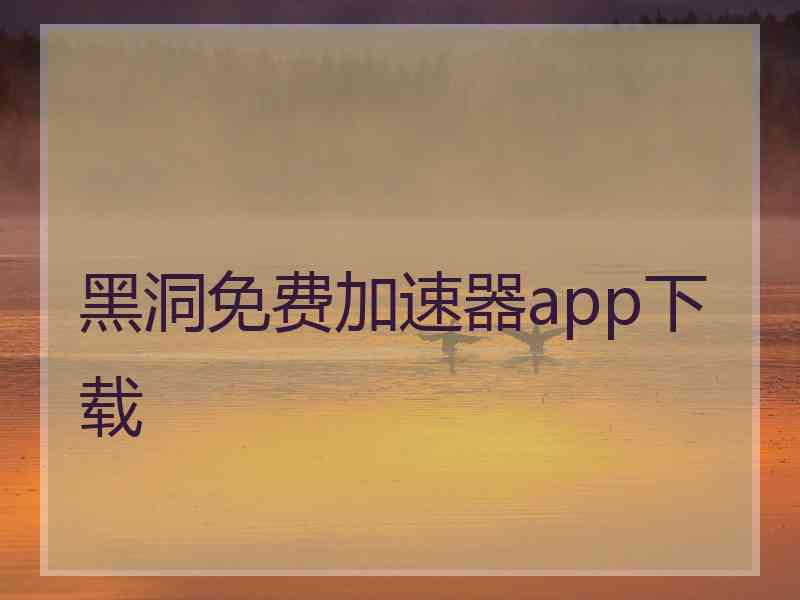 黑洞免费加速器app下载