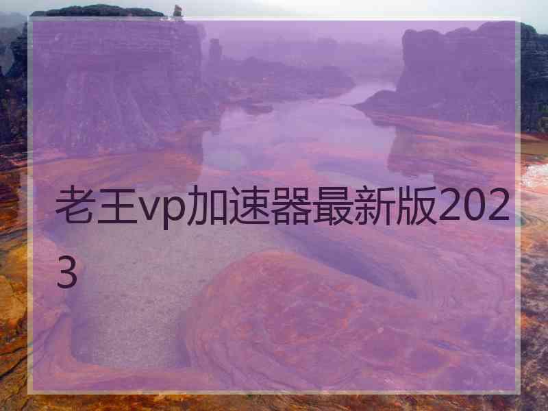 老王vp加速器最新版2023