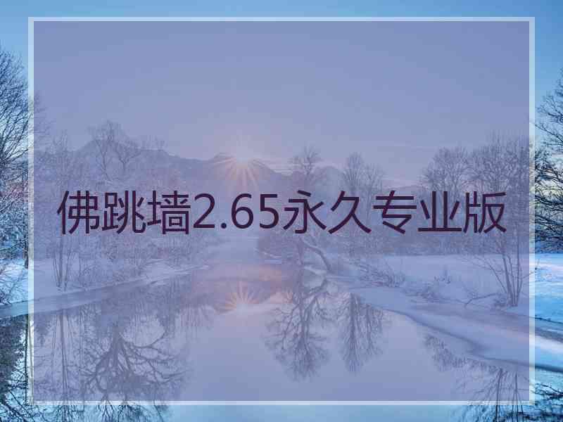 佛跳墙2.65永久专业版