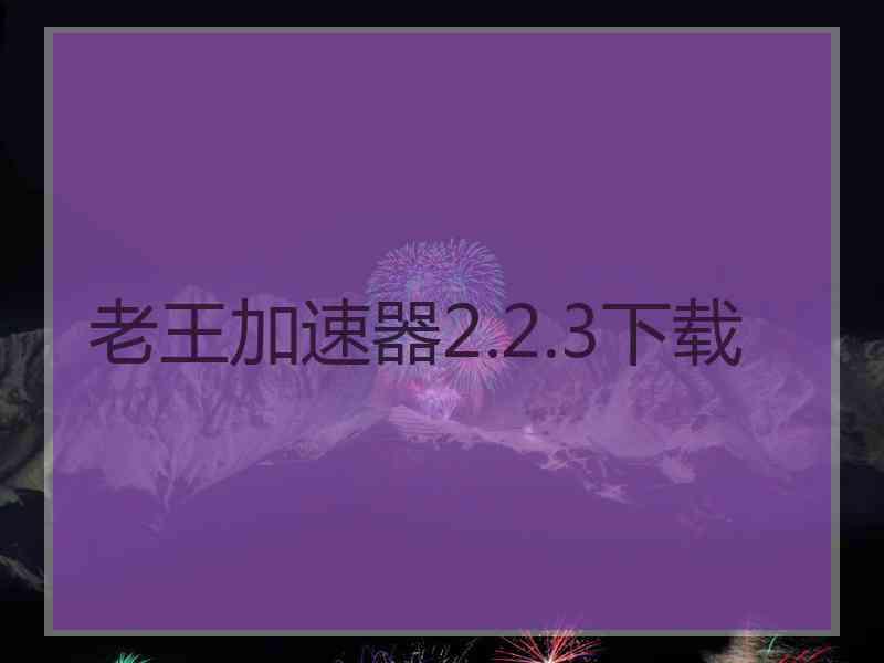 老王加速器2.2.3下载