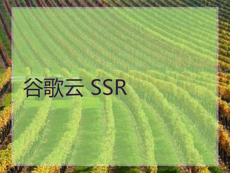 谷歌云 SSR