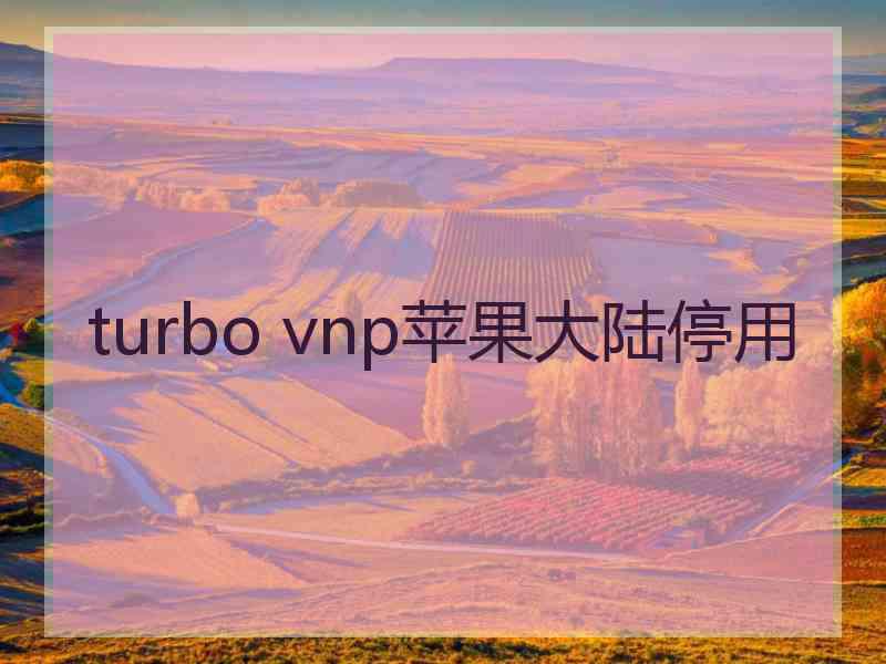 turbo vnp苹果大陆停用