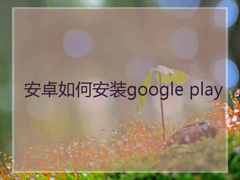 安卓如何安装google play