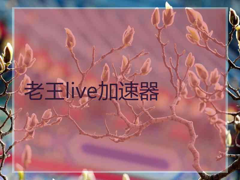 老王live加速器