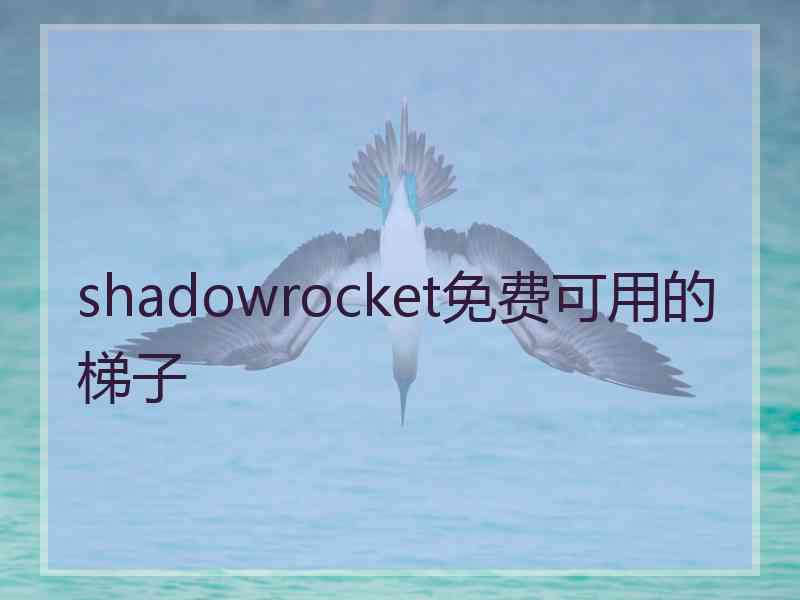 shadowrocket免费可用的梯子