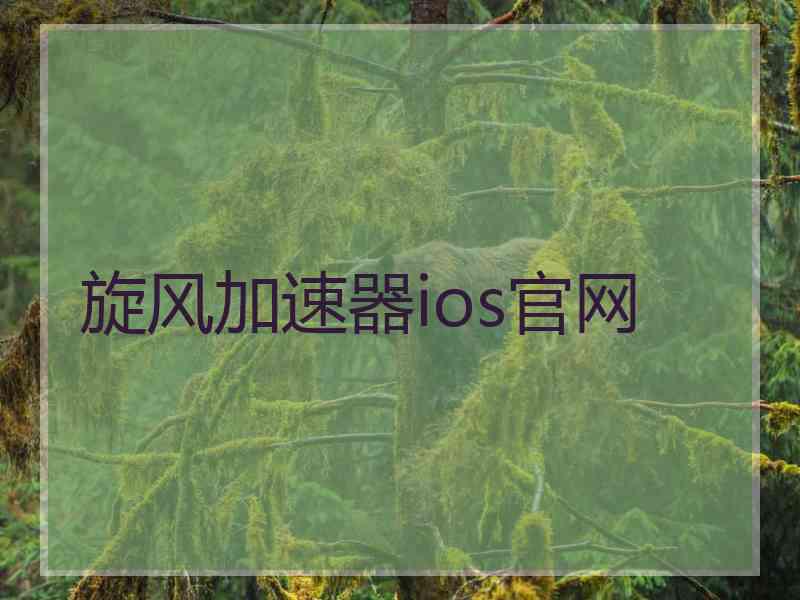 旋风加速器ios官网