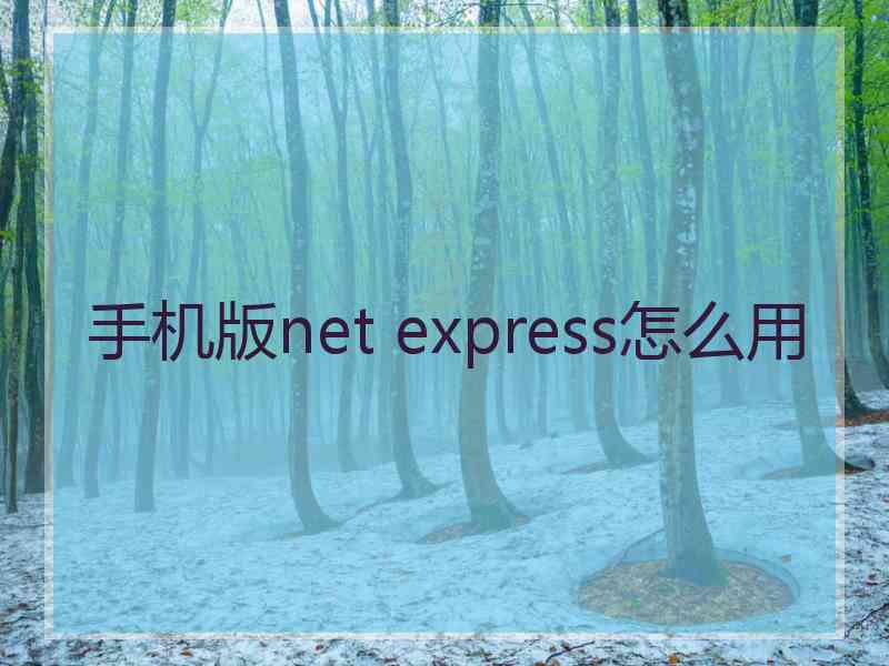 手机版net express怎么用