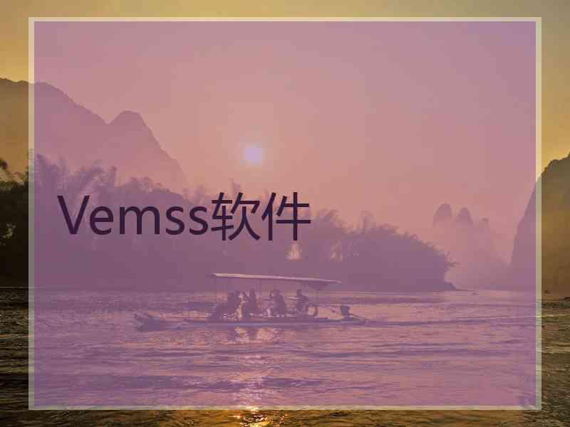 Vemss软件