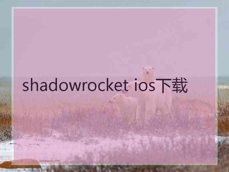 shadowrocket ios下载