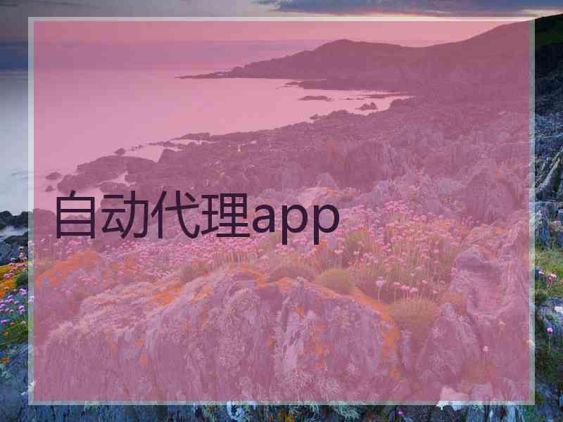 自动代理app