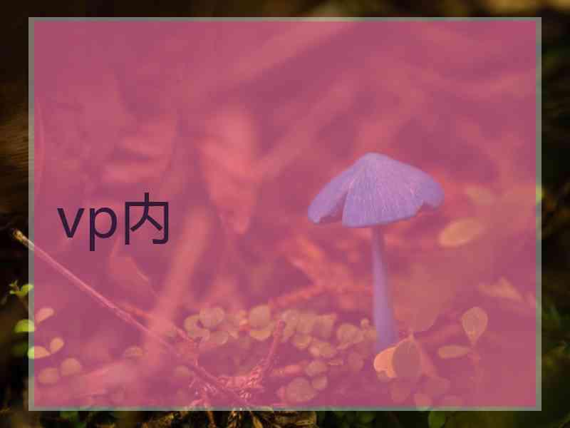 vp内