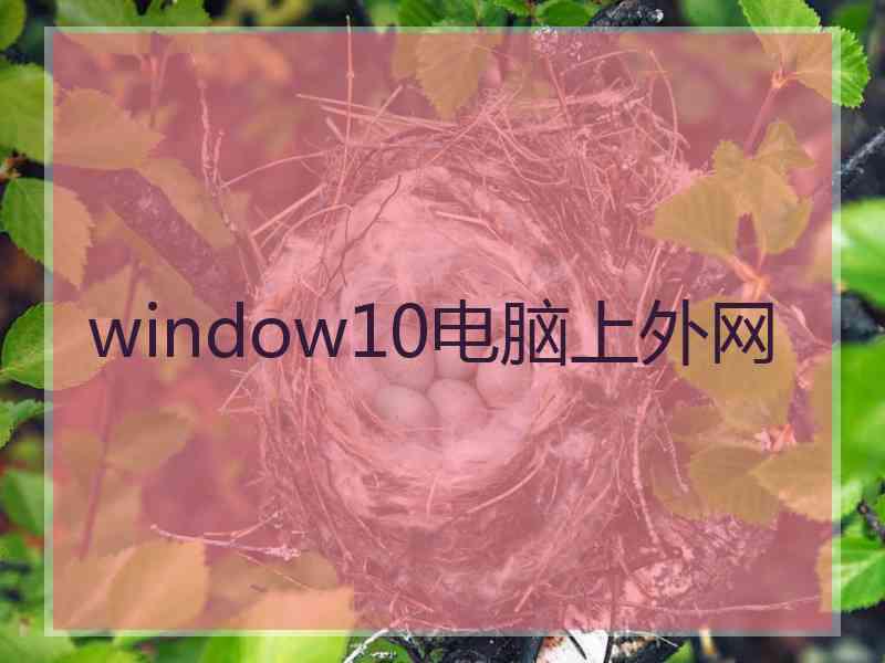 window10电脑上外网