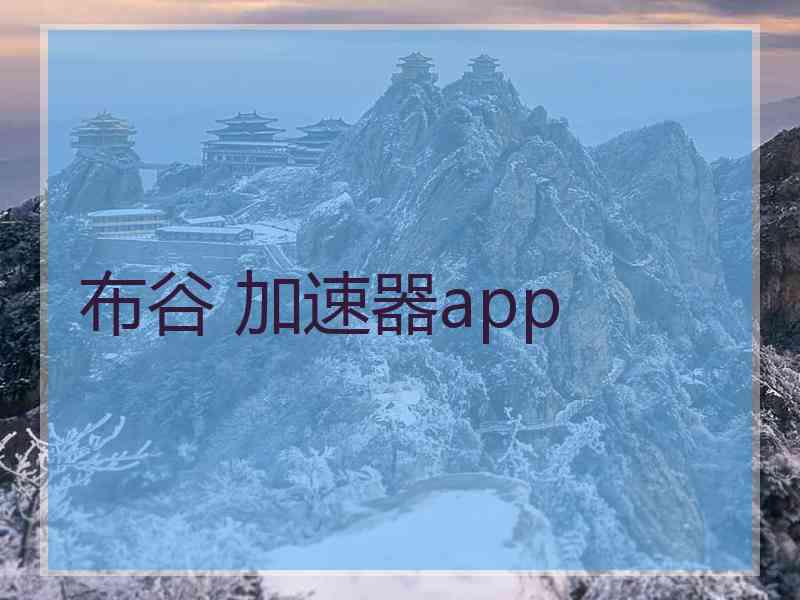 布谷 加速器app